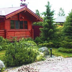 Хвойные в дизайне дачного участка 18 соток